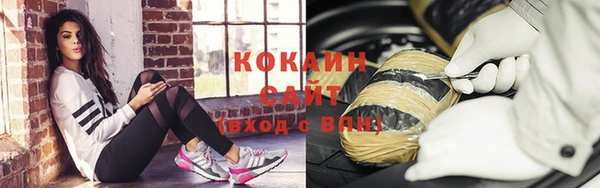 шишки Заволжск
