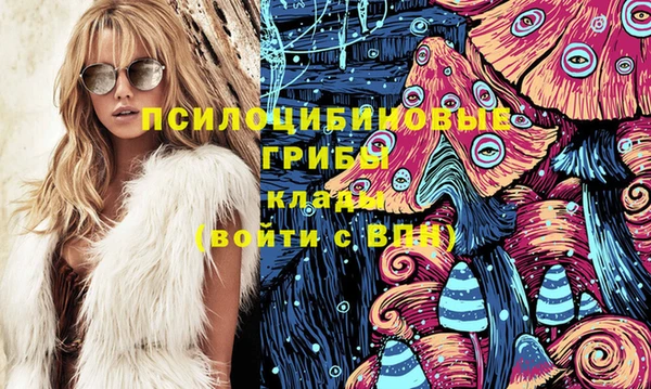 хмурый Зеленокумск
