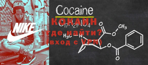 шишки Заволжск