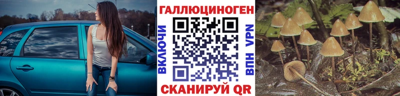Псилоцибиновые грибы мицелий  Кувандык 