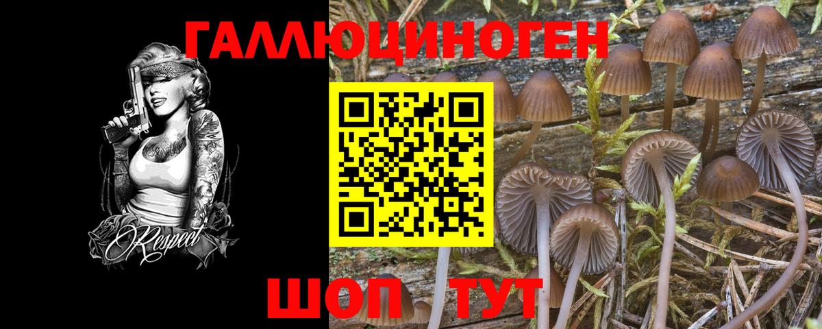 Кувандык  Псилоцибиновые грибы Magic Shrooms  Вход с VPN 